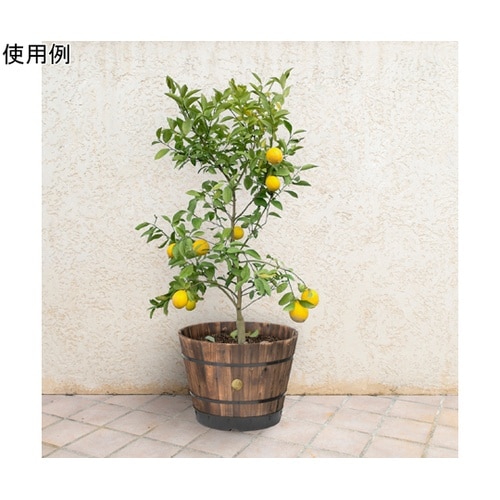 ウッドバレルプランター 550 PPW−