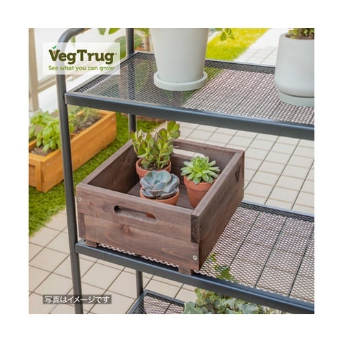 ベジテラスコンテナ ブラウンウッド WS
