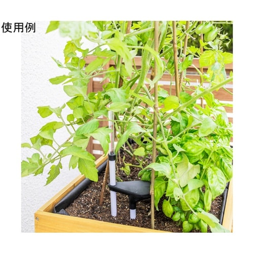 ベジトラグ ウォールハガー 底面給水キッ