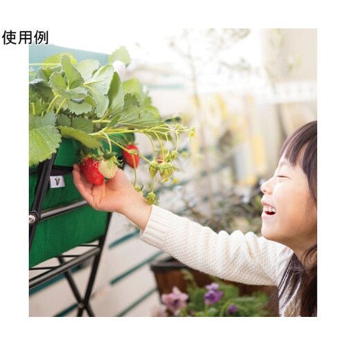 ベジトラグ ポピーGO グリーン VGT