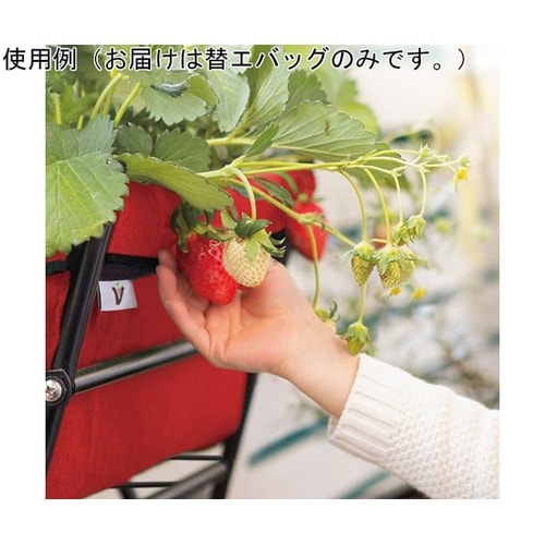 ベジトラグ ポピーGO用替エバッグ レッ