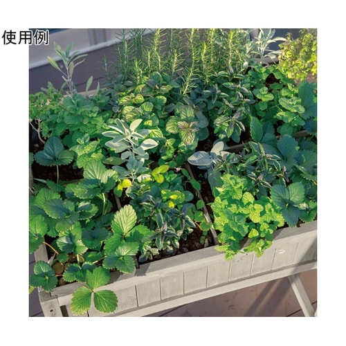 レイズドベッド ハーブプランター グレー