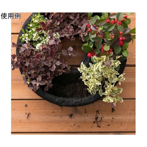 フェルト ハンギングリース S PFW−