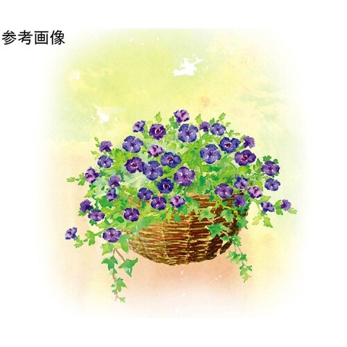 G−story ラタンウォールハンギング