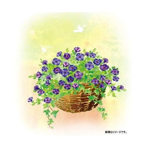 G−story ラタンウォールハンギング