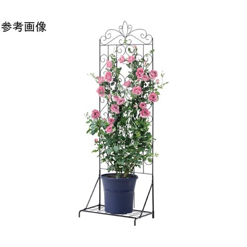 デザイントレリス 1800/2100用ス