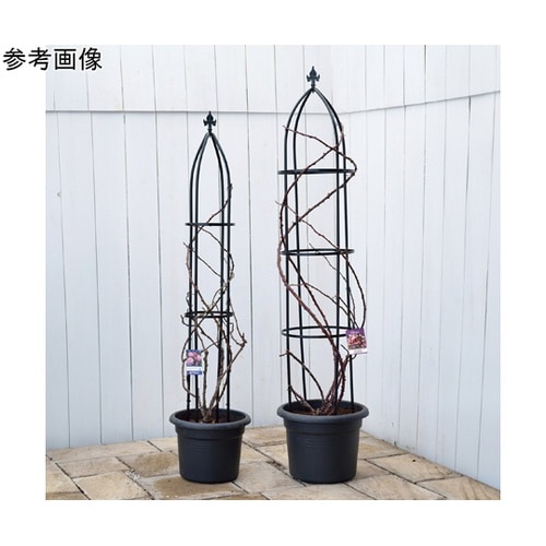 G−story オベリスク GSTR−R