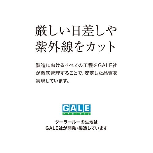クールシェード エアー グレー 1.8X