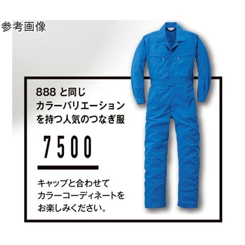 ワークキャップ 888番 102アースグ