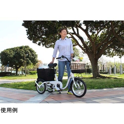 SWING CHARLIE ロータイプ三