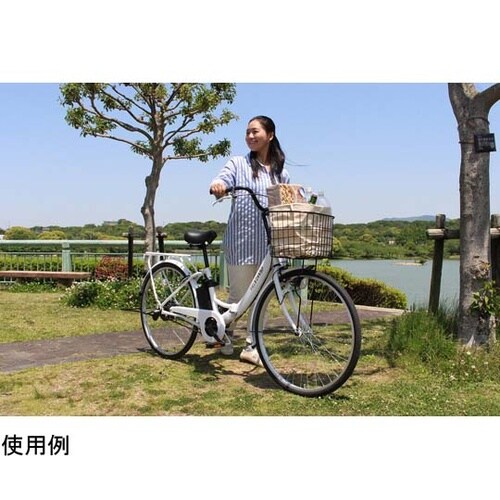 FIELD CHAMP 電動アシスト26