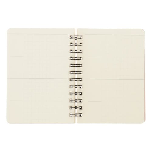 FREE DAYS B7 モモ×3