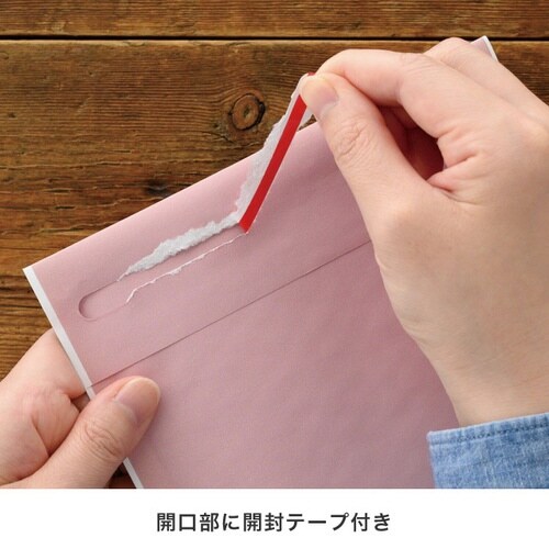 無地緩衝材付宅配紙袋2GP 10枚×5