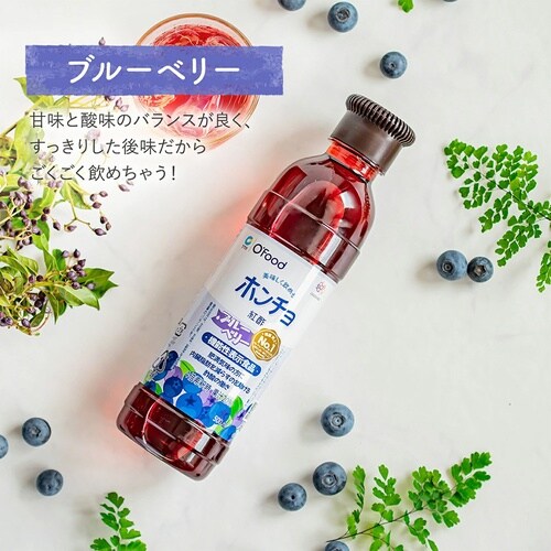 大象ジャパン ホンチョ ブルーベリー 900ml×