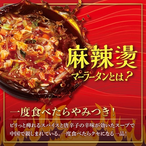 【常温】医食同源ドットコム 麻辣湯 88g×12個