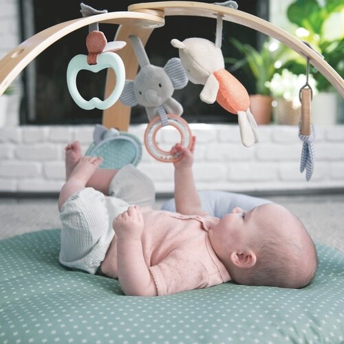 12126 IG コージースポットリバーシブルジム