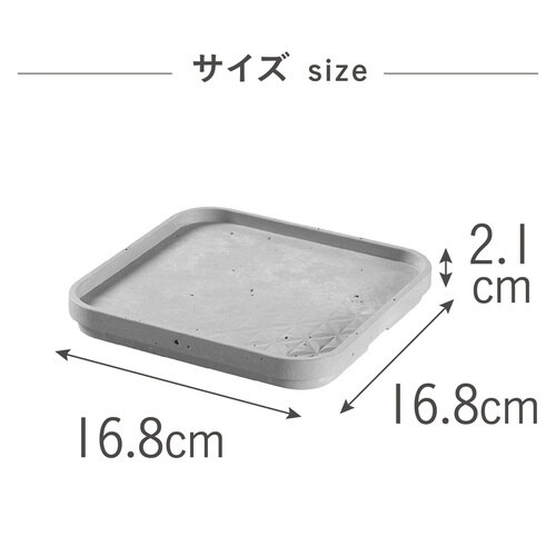 べトン トレー XS×6