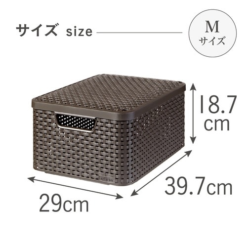 スタイル 収納ボックスM BR×3
