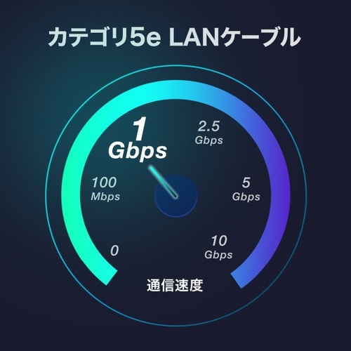 カテゴリ5eSTP LANケーブル