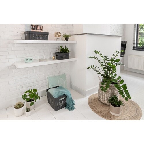 インフィニティバスケット1.4Lダークグレー×12