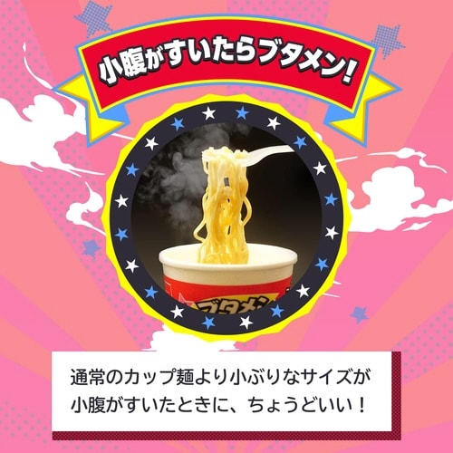 ブタメンしょうゆラーメン30g 15個