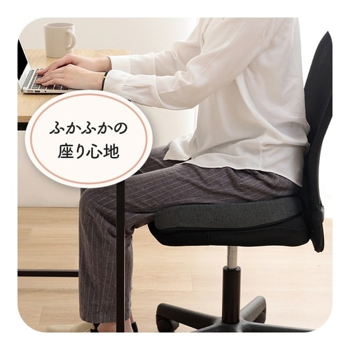 フィース BK 45×35cm