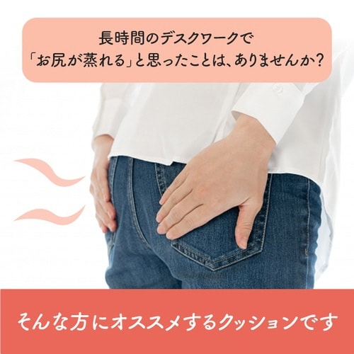 フィース BK 40×40cm