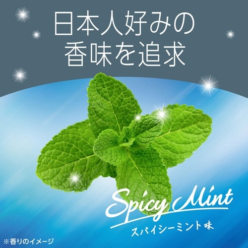 モンダミン スパイシーミント 1000ML 洗口液