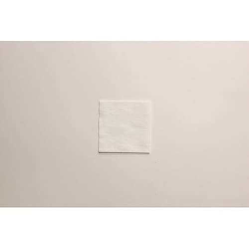 クラクリーン(R)ワイパー 100枚入