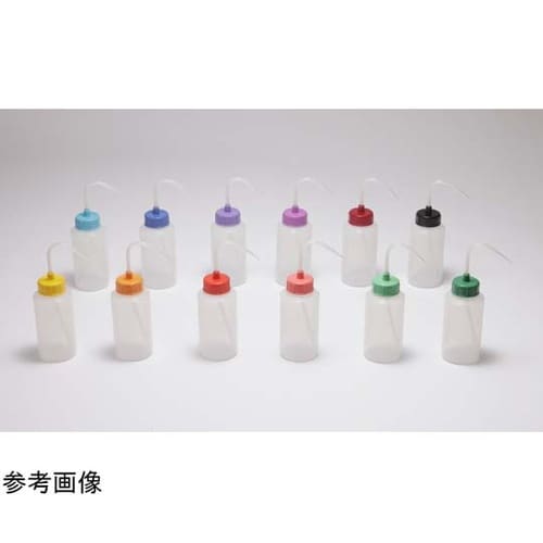 NT洗浄瓶B2 250mL 139020