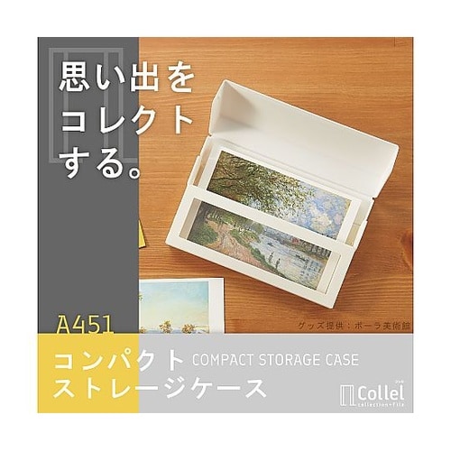 Collel コンパクトストレージケース