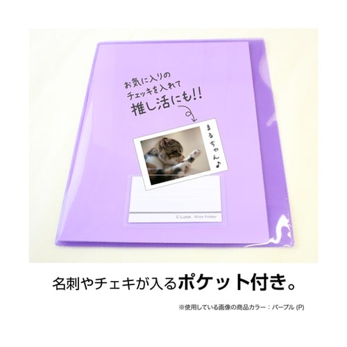 ワイドフォルダー グリーン CLK−24