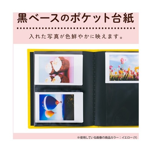 ミニポケットアルバム カード グリーン