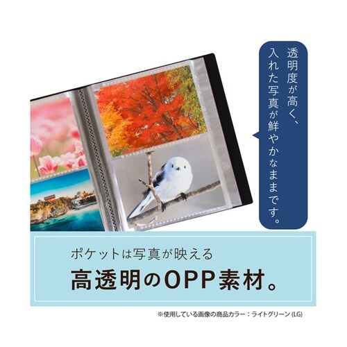 フォトアルバム 高透明 160枚 L
