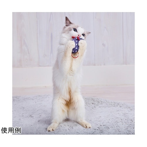 ワイルドマウス チューチューNOISYパ