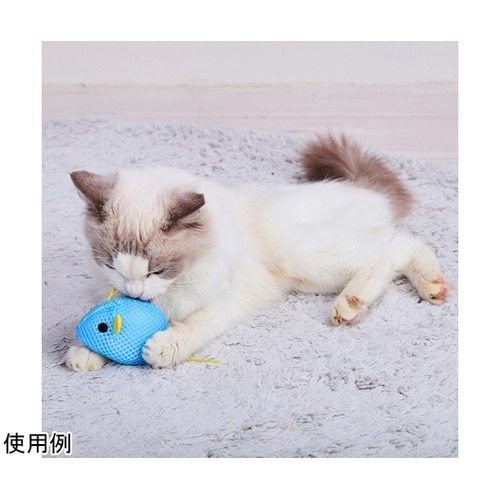 ワイルドマウス チューチューNOISYパ