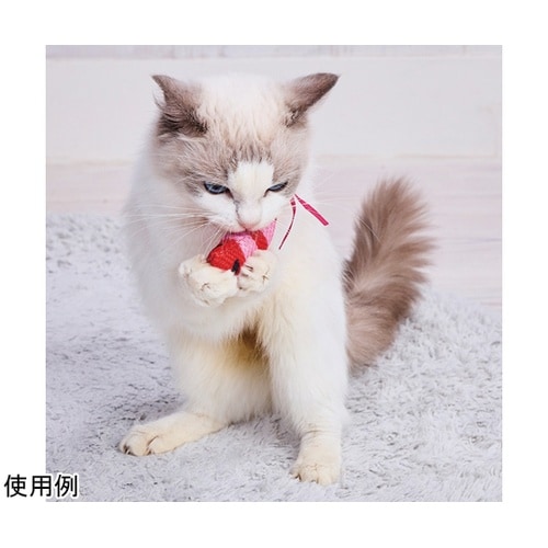 ワイルドマウス チューチューNOISYパ