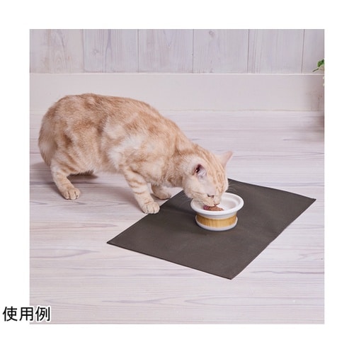 necoco 食べやすい木目調食器 ウェ