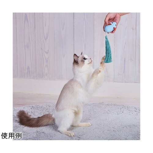 ロングテールマウス タッセルテール A2