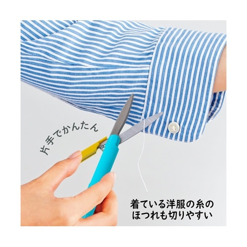 日本のお土産シリーズ ツイッギー 寿司