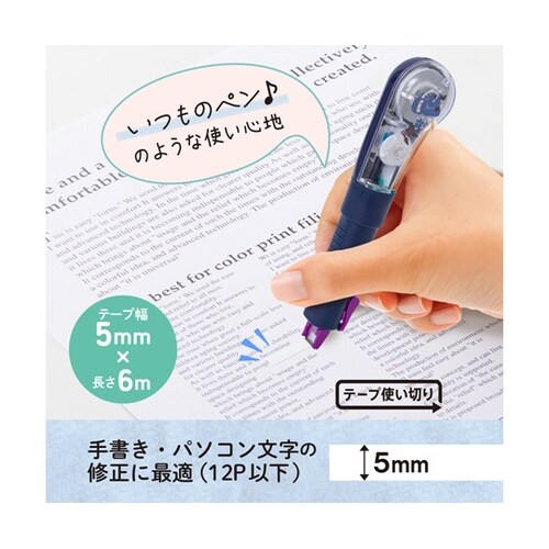 日本のお土産シリーズ WH−PL 忍者