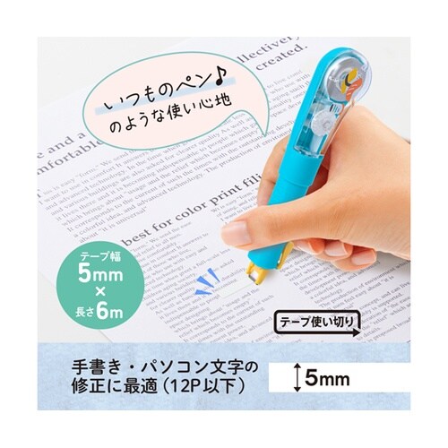 日本のお土産シリーズ WH−PL 寿司