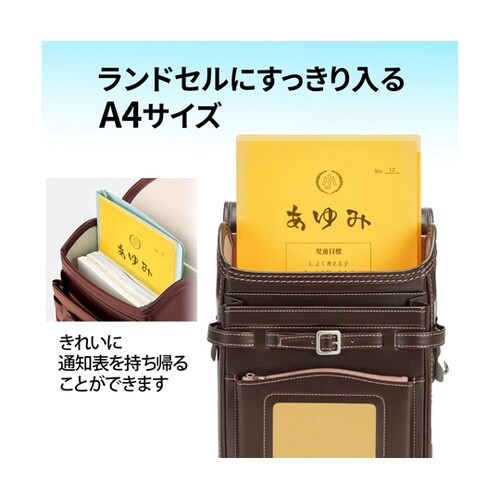 通知表ホルダー 6ポケット YL 798