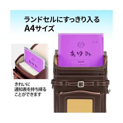 通知表ホルダー 6ポケット PL 798