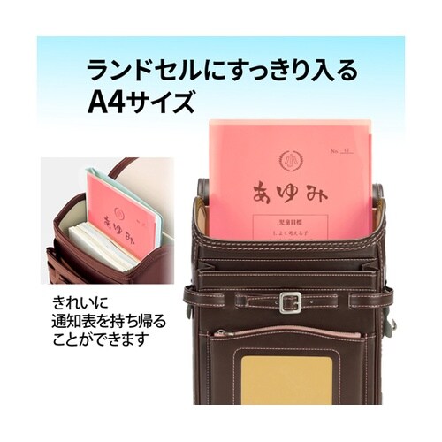 通知表ホルダー 6ポケット PK 798