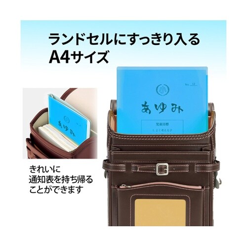 通知表ホルダー 6ポケット NV 798