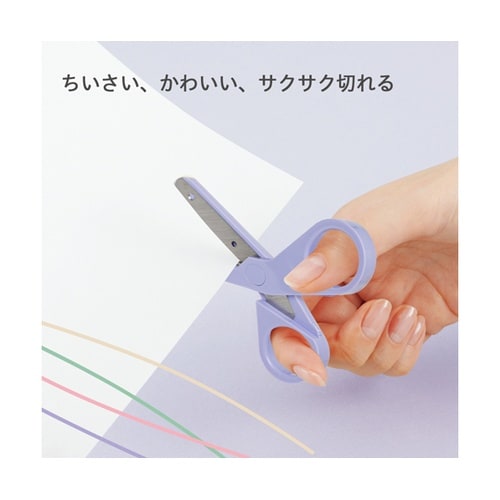 チームデミ シザーズ ふじ 31446