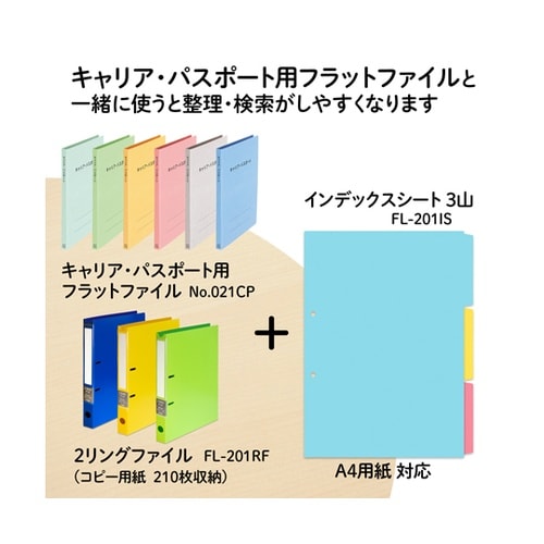 インデックスシート A4S 2穴用 3山