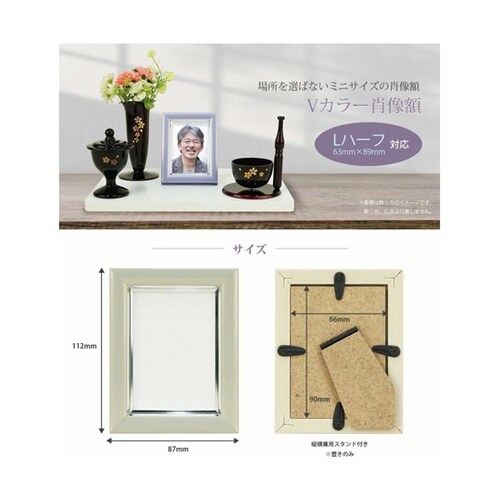 Vカラー肖像額 Lハーフ PBK VSC