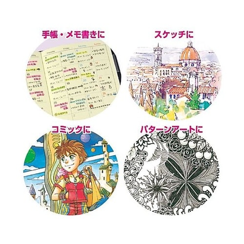 ピグマ04 くろ ESDK04#49